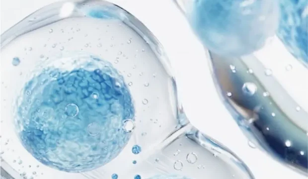 老化の原因と細胞レベルからの再生医療アプローチ｜銀座YRクリニック