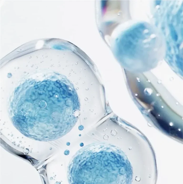 老化の原因と細胞レベルからの再生医療アプローチ｜銀座YRクリニック